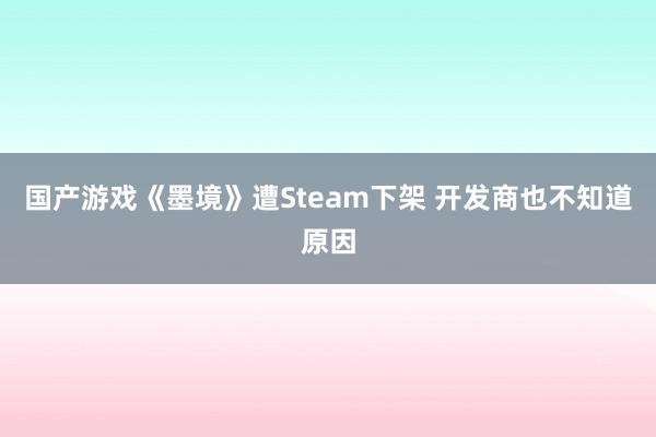 国产游戏《墨境》遭Steam下架 开发商也不知道原因