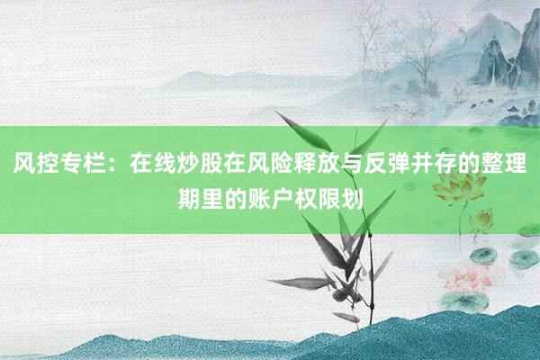 风控专栏：在线炒股在风险释放与反弹并存的整理期里的账户权限划