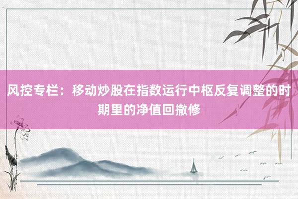风控专栏：移动炒股在指数运行中枢反复调整的时期里的净值回撤修