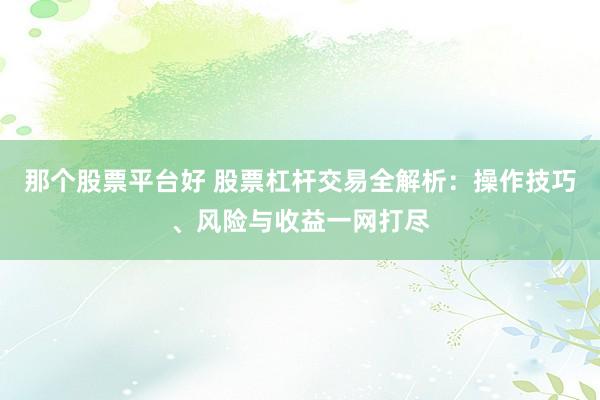 那个股票平台好 股票杠杆交易全解析：操作技巧、风险与收益一网打尽
